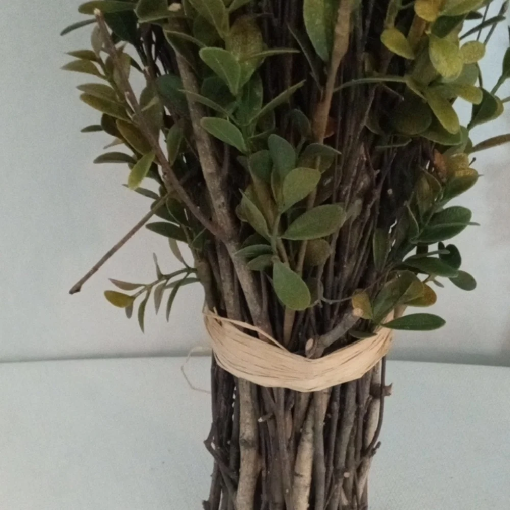 2 Preserved Boxwood Topiary Plant Bundles Rustic Farmhouse Decor 20